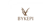 Bykepi 